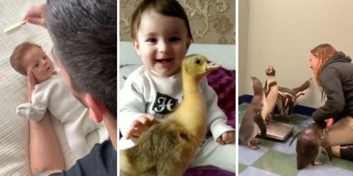 10 things we enjoyed this week

