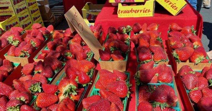 8 Best Things To Do In Danville
