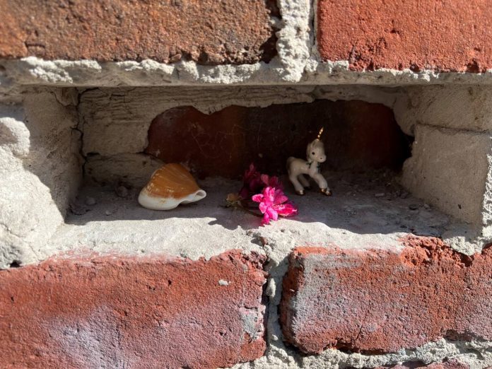 Petaluma's niche mystery solved
