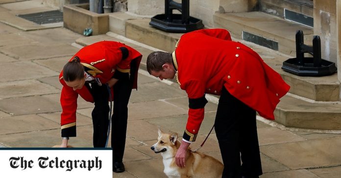 Small moments that added up to a day of emotion and majesty
