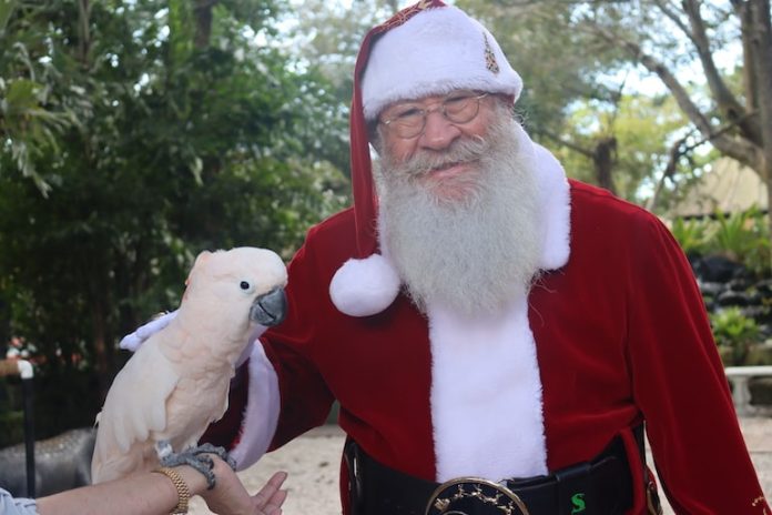 Weekend Vibes, What's Happening In Southwest Florida Nov 25-27
